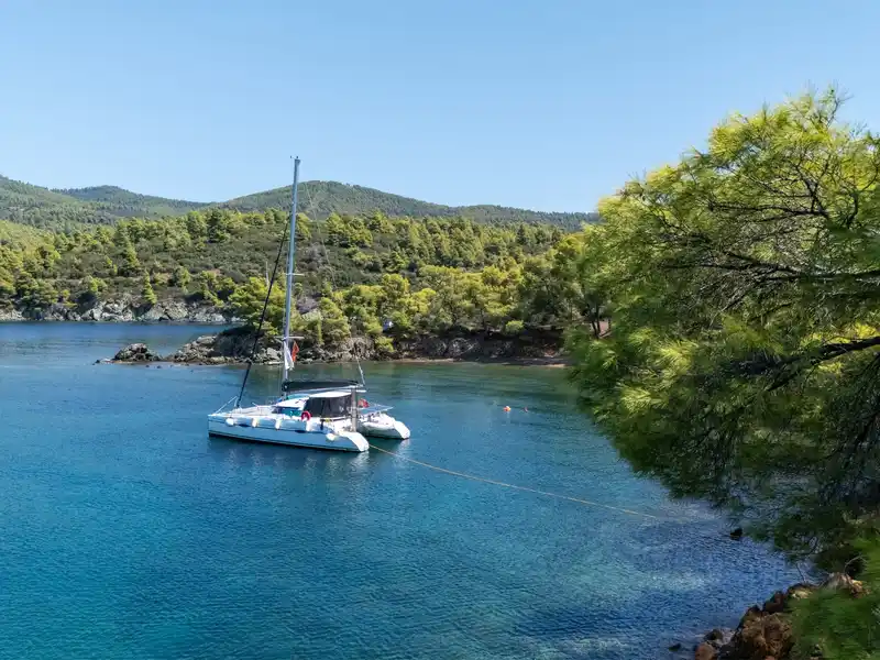 Catamaran anchored in a calm bay at Agia Kyriaki, framed by pine branches