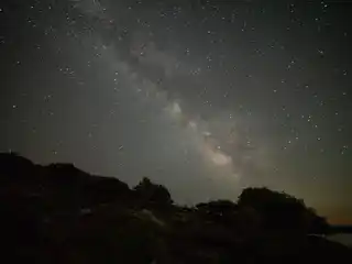 Ο Γαλαξίας πάνω από σκοτεινή δασωμένη ακτή, σε νύχτα με καθαρό ουρανό