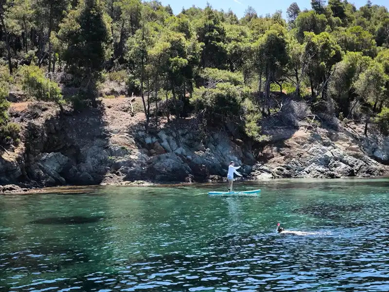 Paddleboarder and a swimmer in clear water below a pine-covered rocky shore