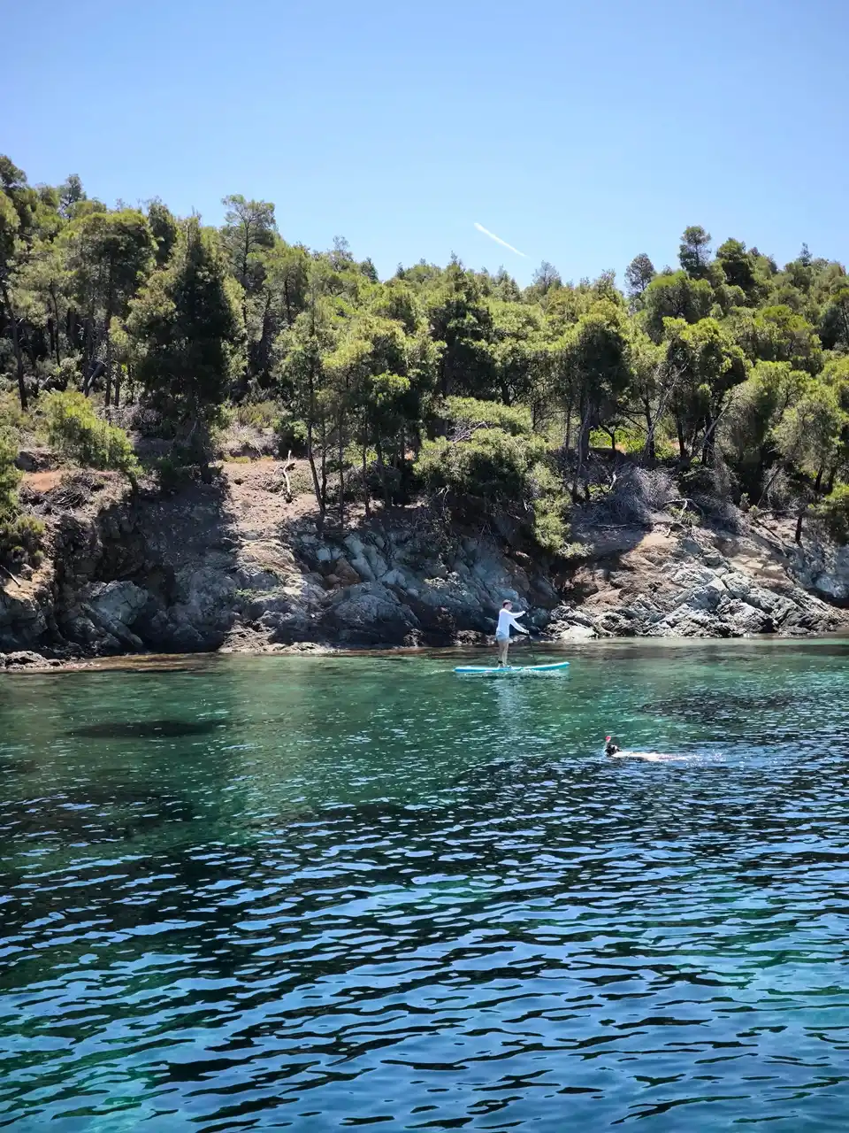Κάποιος σε σανίδα SUP κι ένας κολυμβητής σε καθαρά νερά, κάτω από βραχώδη ακτή με πεύκα