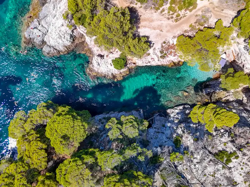 Turquoise inlet between white rocks and pine trees on Skopelos, seen from above