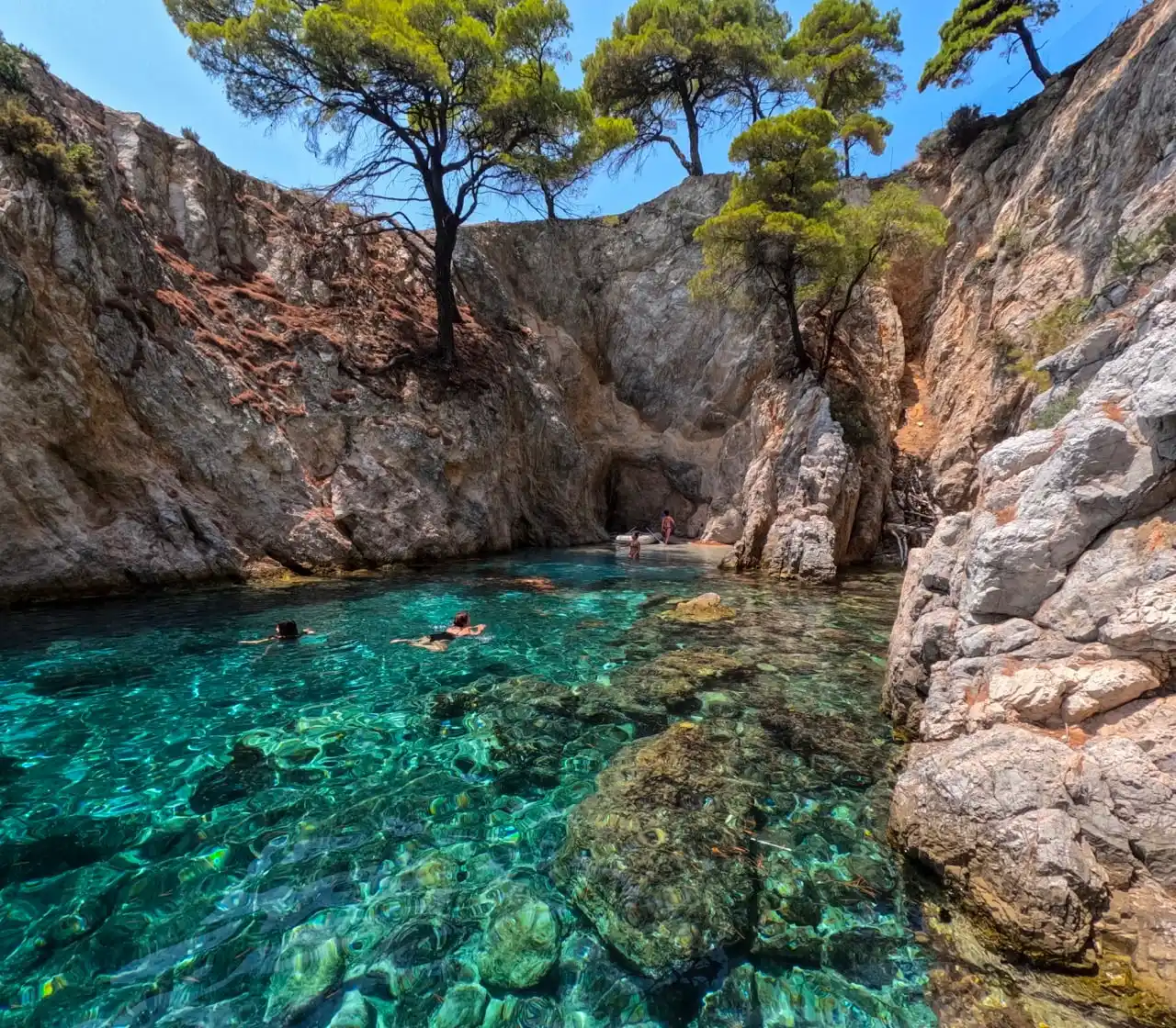 Κολυμβητές σε καθαρή βραχώδη γούρνα κάτω από βράχια με πεύκα