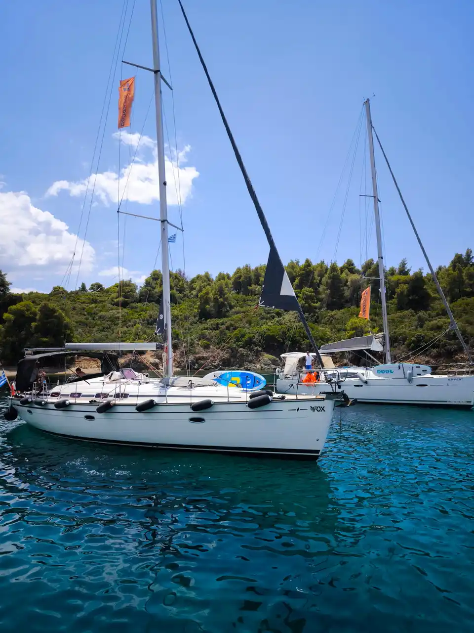 Two sailing yachts moored in clear water by a pine-covered shore