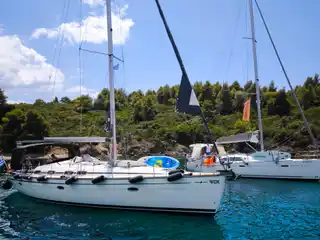 Two sailing yachts moored in clear water by a pine-covered shore
